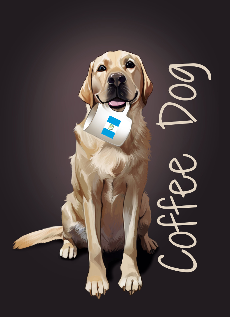 Guatemala Single Origin Coffee - 1 lb